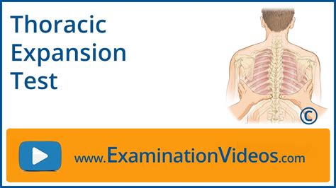 scalene compression test|assessing thoracic expansion.